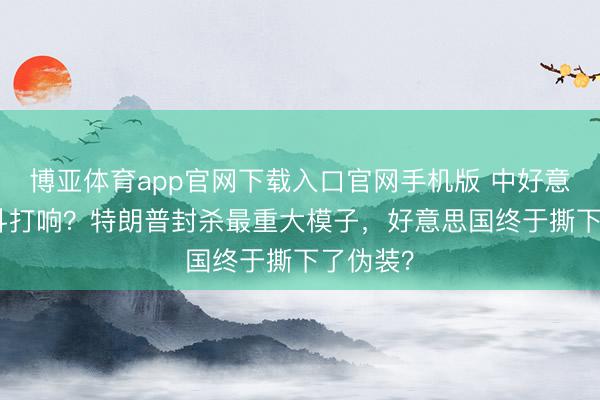 博亚体育app官网下载入口官网手机版 中好意思AI搏斗打响?特朗普封杀最重大模子,好意思国终于撕下了伪装?