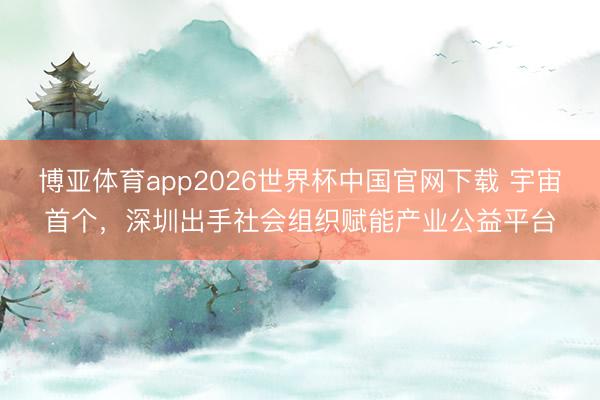 博亚体育app2026世界杯中国官网下载 宇宙首个,深圳出手社会组织赋能产业公益平台